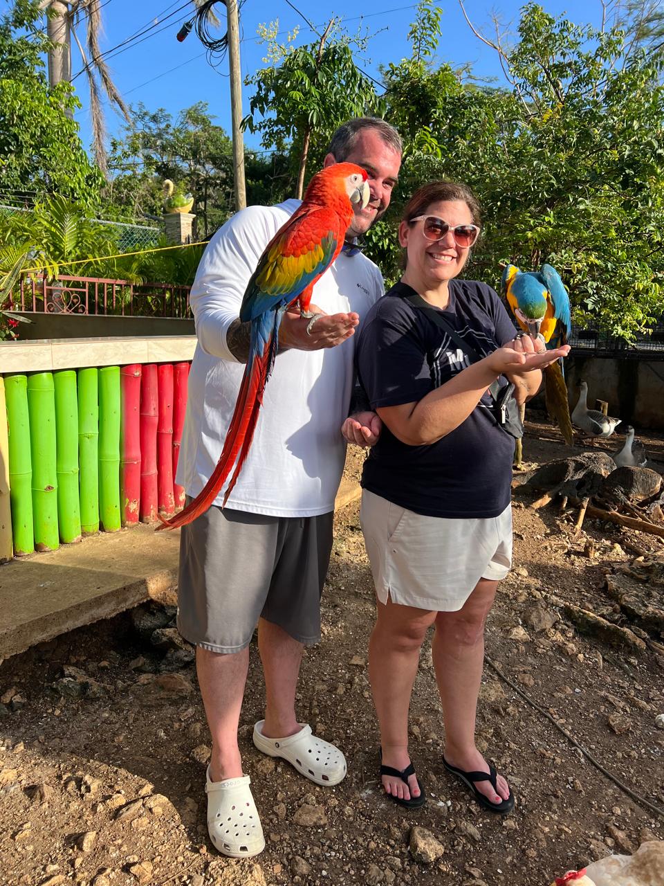 Parrot experience on an outing